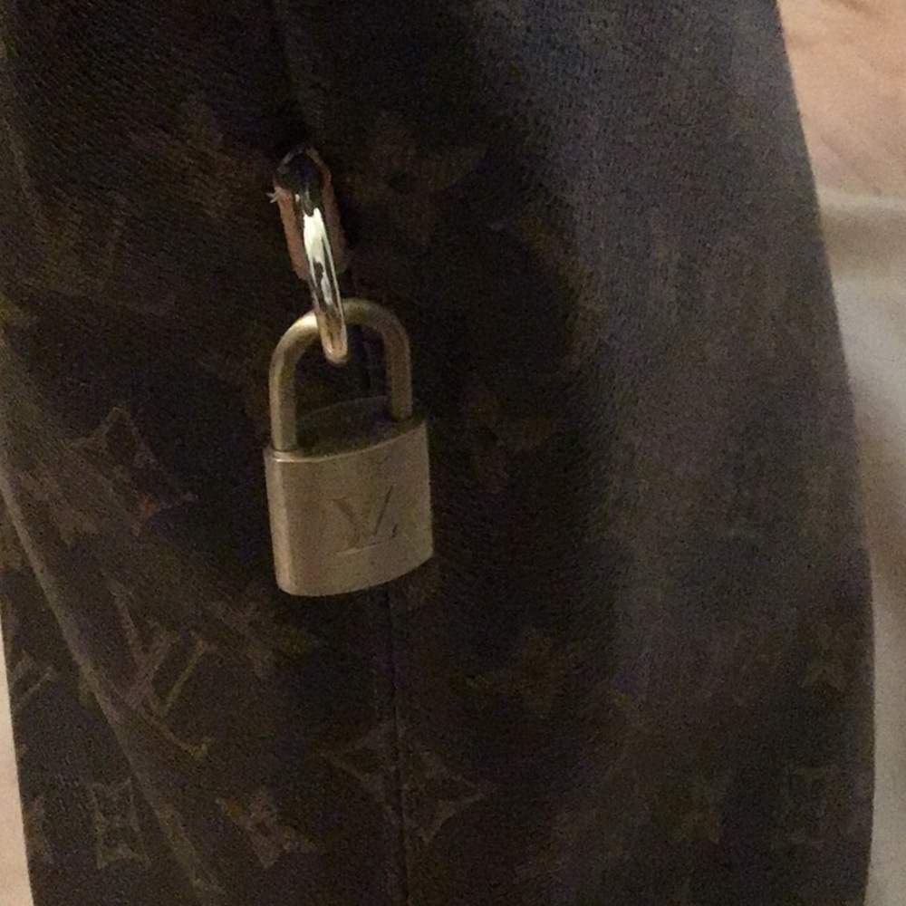 Louis Vuitton vertical bag - Picture 3 of 10
